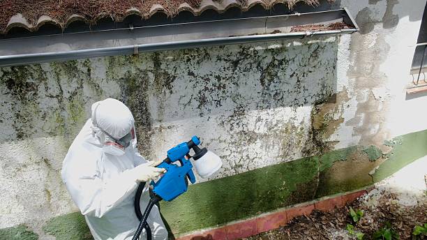 Trusted Mold Testing service in Oaklyn, NJ - Cheap Mold Removal
